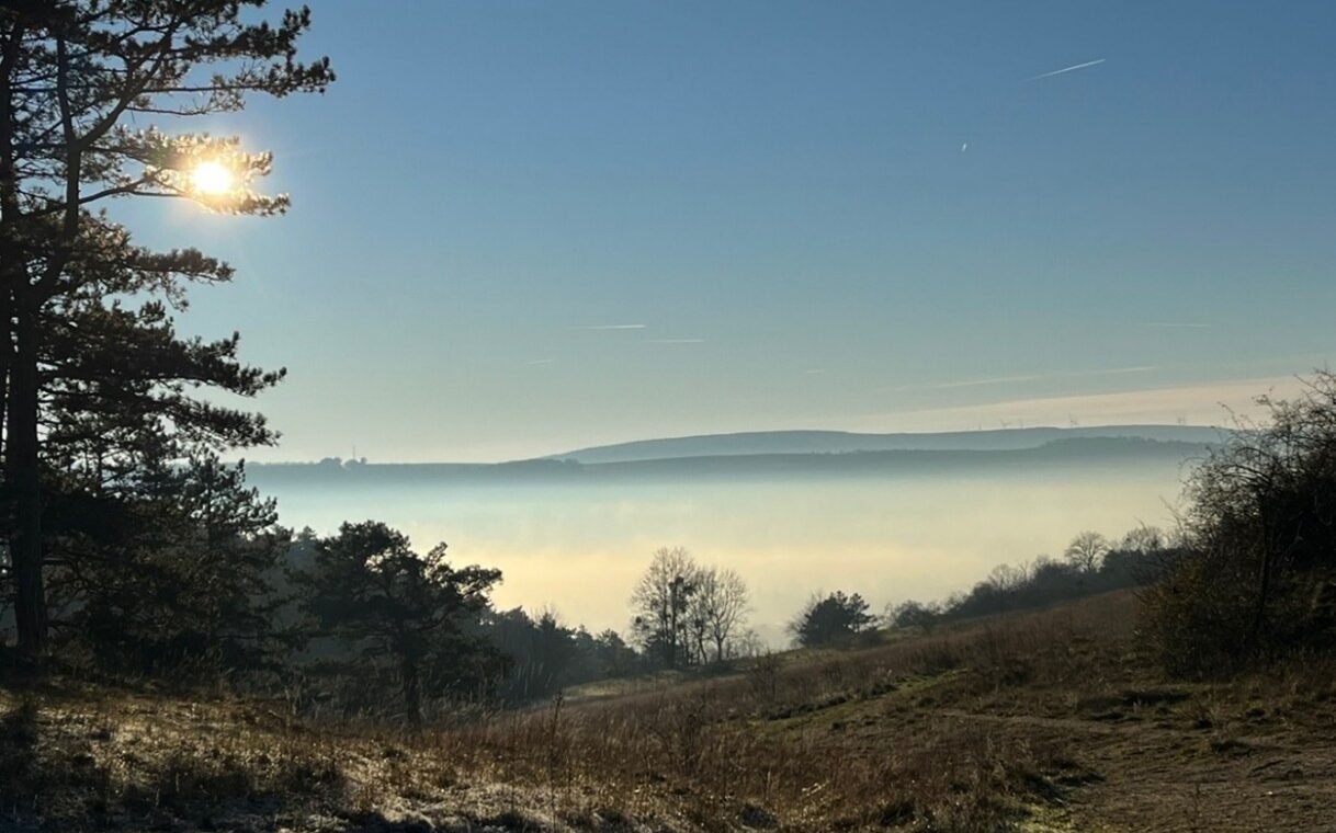 A landscape colour photograph of a vast misty valley, framed by silhouetted trees. The sky is clear and blue and the sun shines brightly.