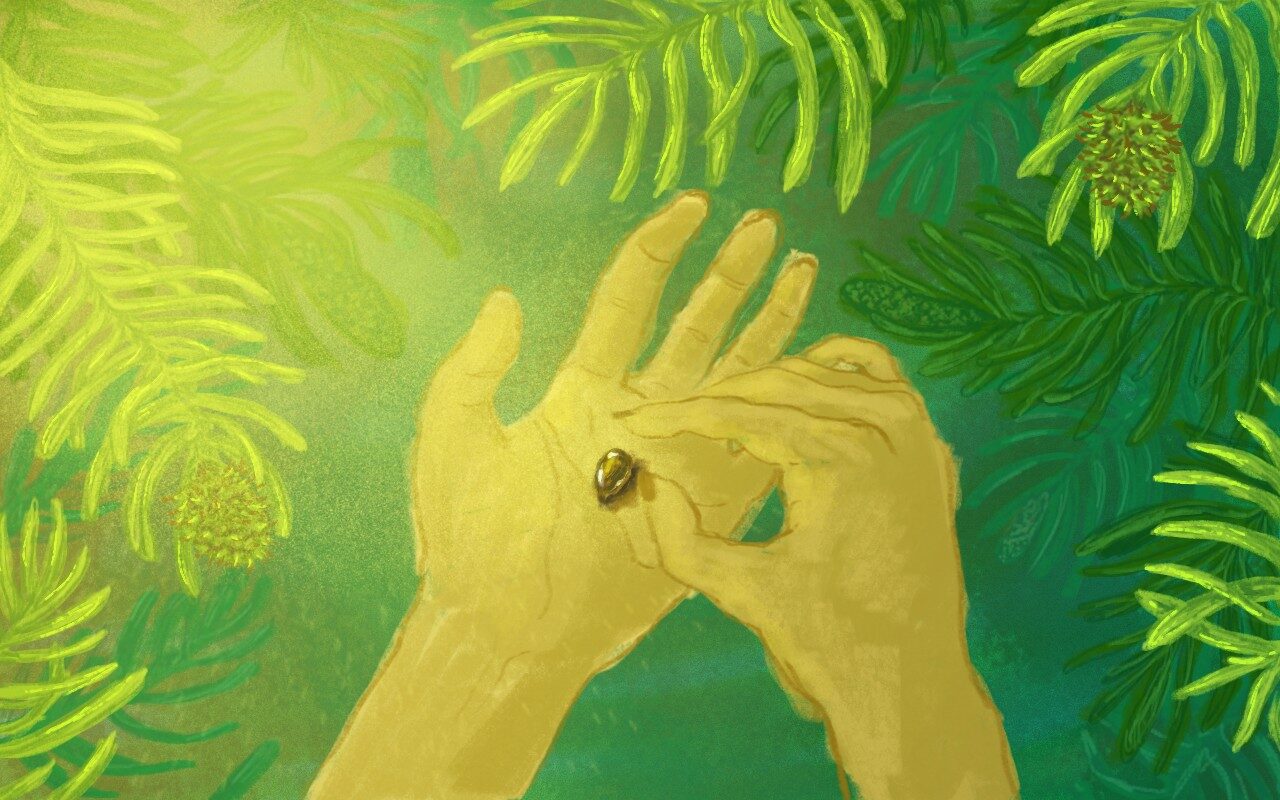 A colourful green and yellow illustration depicting two hands carefully cradling a small brown seed.